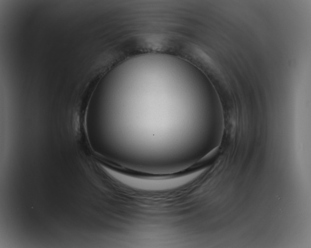 X0000089360500200706291044