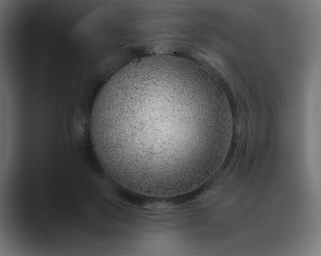 X0000089360503200706291044