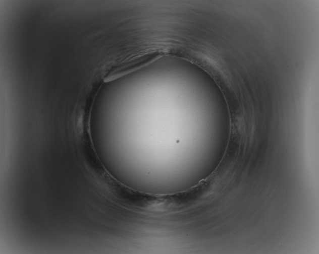 X0000089360504200706291044