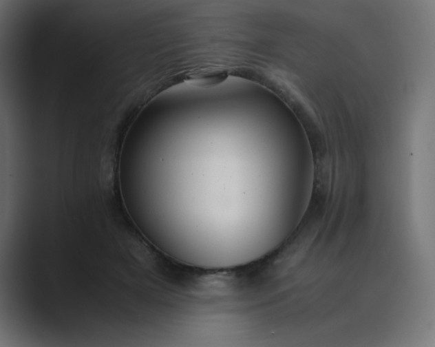 X0000089360505200706291044