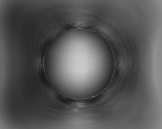 X0000089360506200706291044