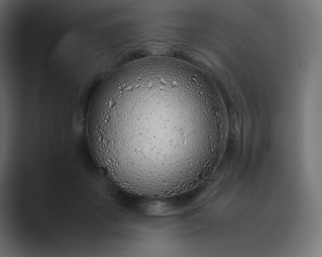 X0000089360507200706291044