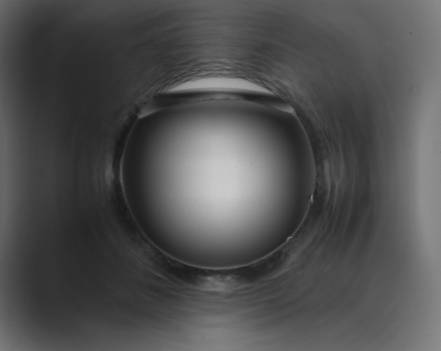 X0000089360508200706291044