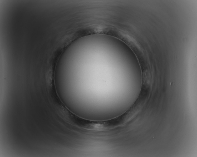 X0000089360509200706291044