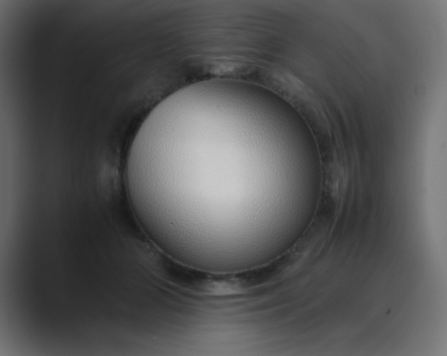 X0000089360510200706291044