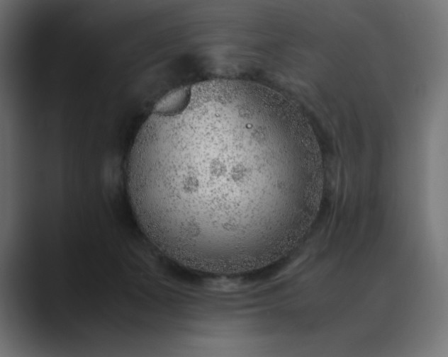 X0000089360511200706291044