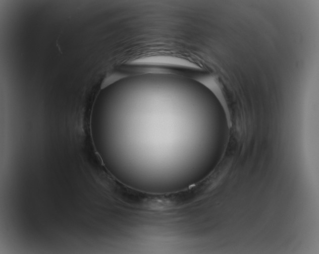 X0000089360512200706291044