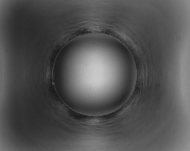 X0000089360513200706291044