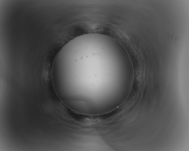 X0000089360515200706291044