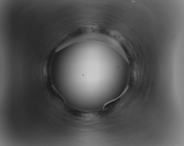 X0000089360516200706291044