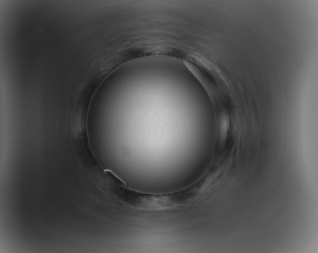 X0000089360517200706291044