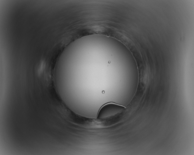 X0000089360518200706291044