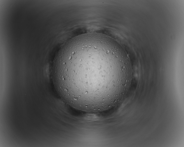 X0000089360519200706291044