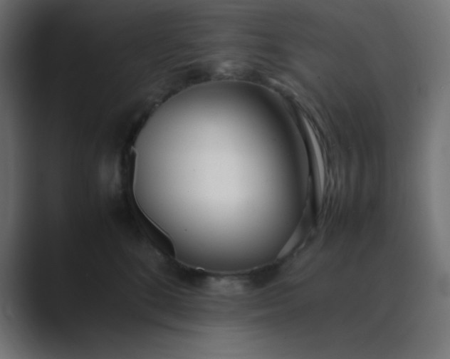 X0000089360520200706291044