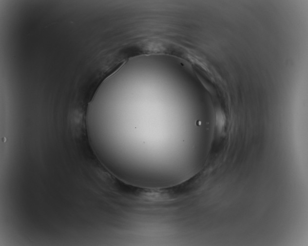 X0000089360521200706291044