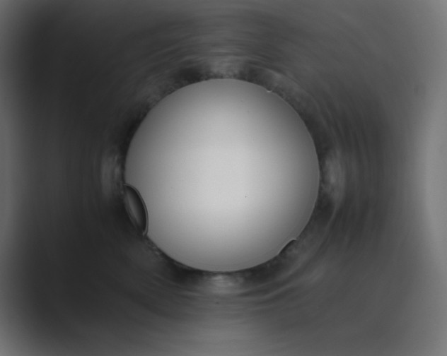 X0000089360522200706291044