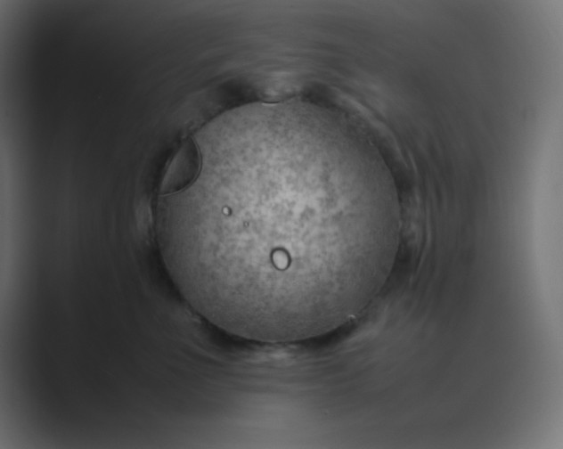 X0000089360523200706291044