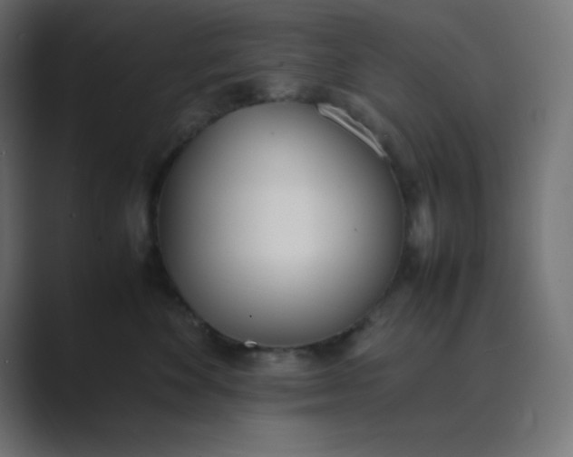 X0000089360524200706291044