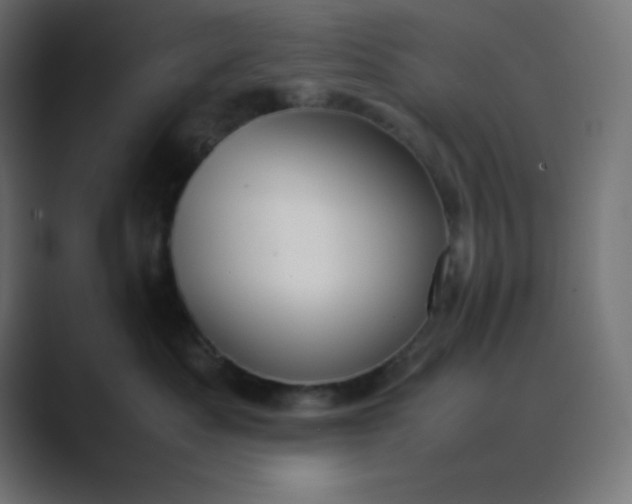 X0000089360525200706291044