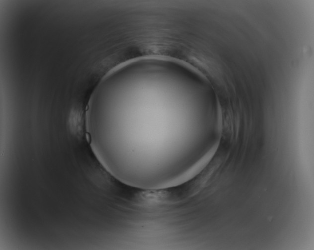 X0000089360526200706291044