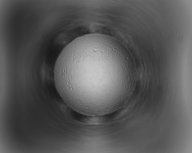 X0000089360527200706291044