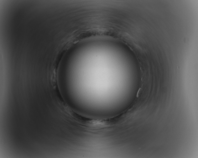 X0000089360528200706291044