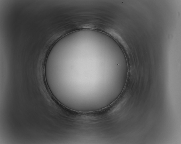 X0000089360529200706291043