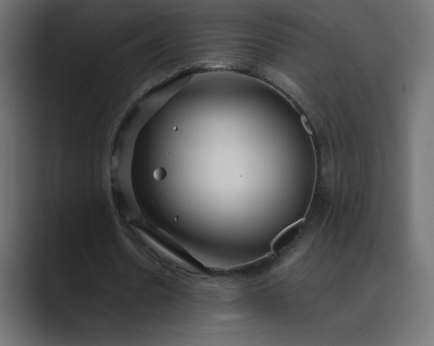 X0000089360530200706291043