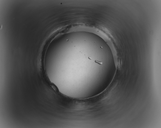 X0000089360531200706291043