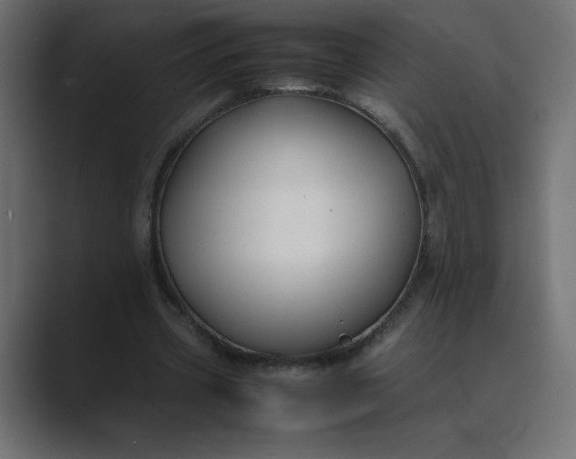 X0000089360533200706291043