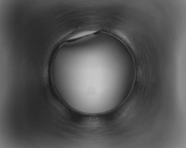 X0000089360535200706291043