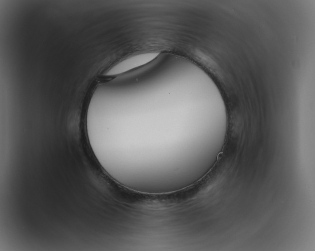 X0000089360538200706291043