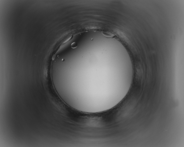 X0000089360539200706291043