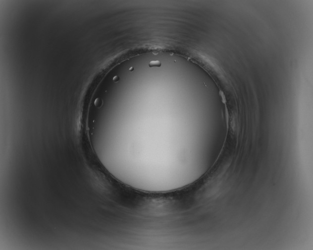 X0000089360540200706291043