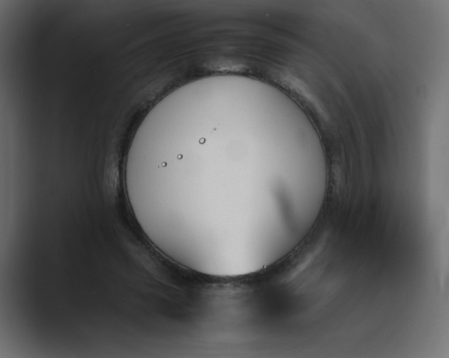 X0000089360541200706291043