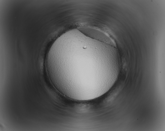 X0000089360542200706291043