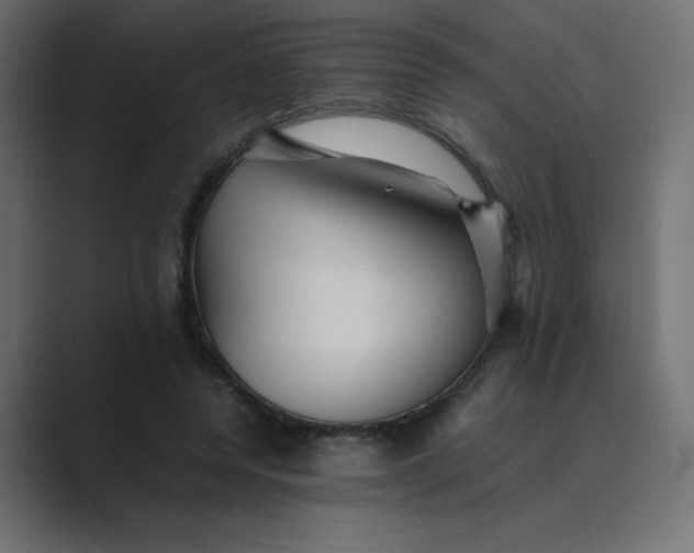 X0000089360544200706291043