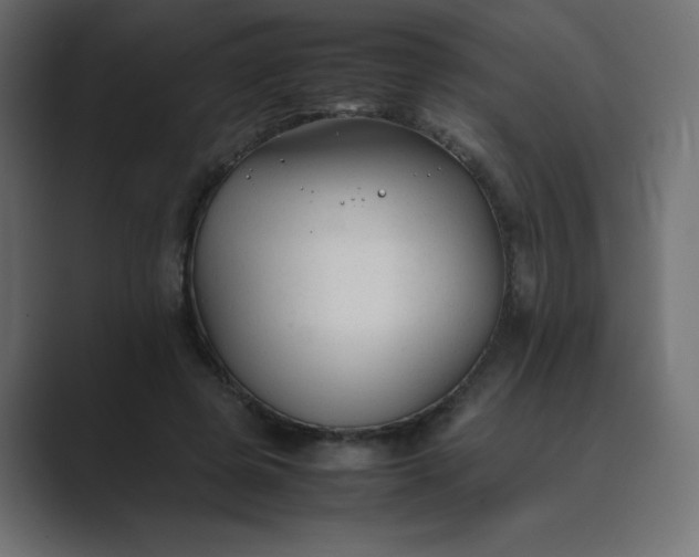 X0000089360545200706291043