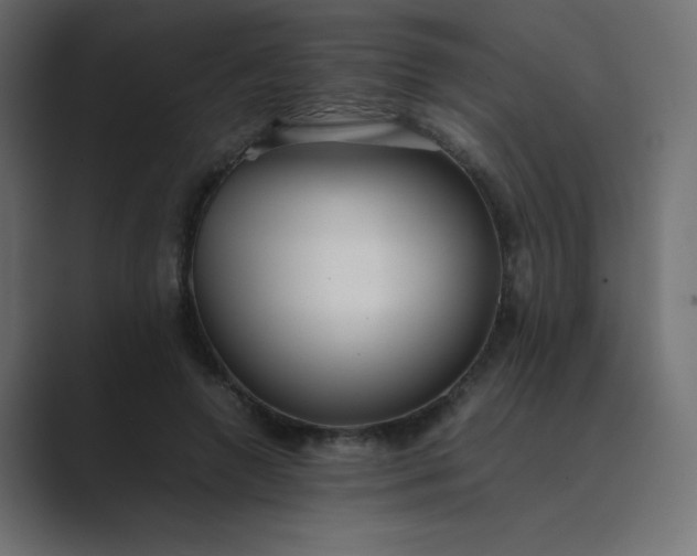 X0000089360546200706291043