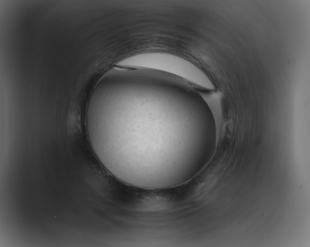 X0000089360547200706291043