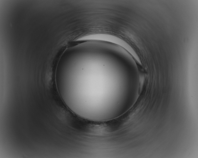 X0000089360548200706291043