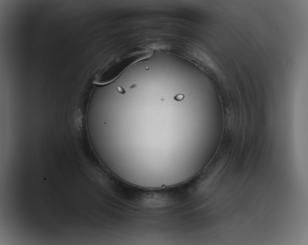 X0000089360549200706291043