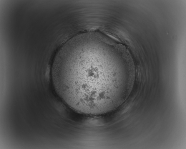 X0000089360550200706291043