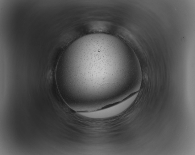 X0000089360551200706291043