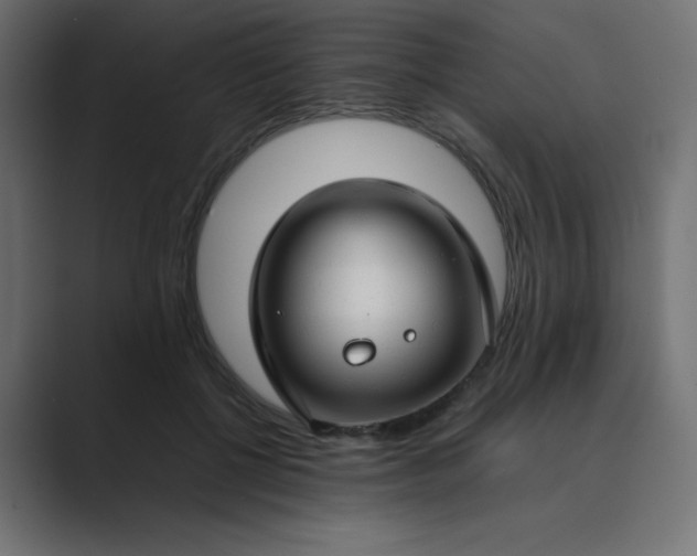 X0000089360552200706291043