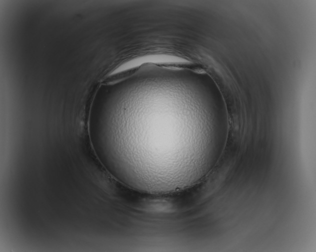 X0000089360553200706291043