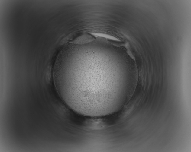 X0000089360554200706291043