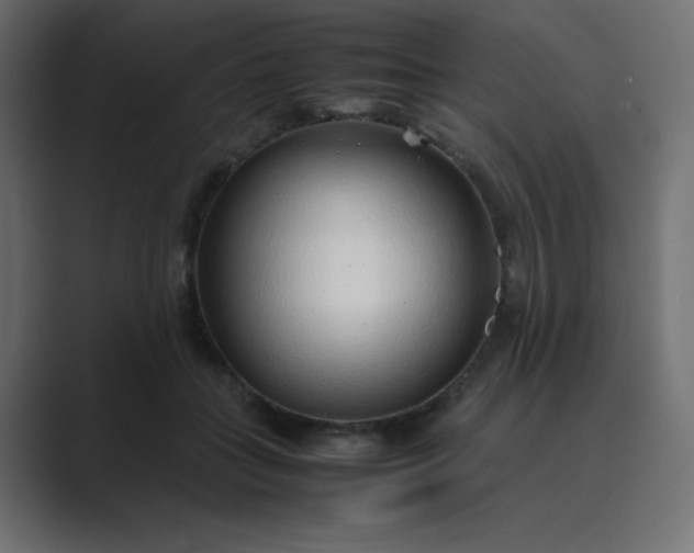 X0000089360555200706291043