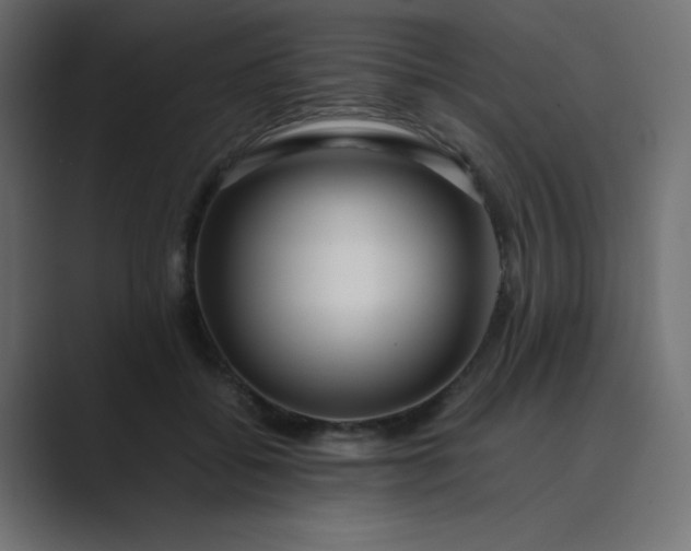 X0000089360556200706291043