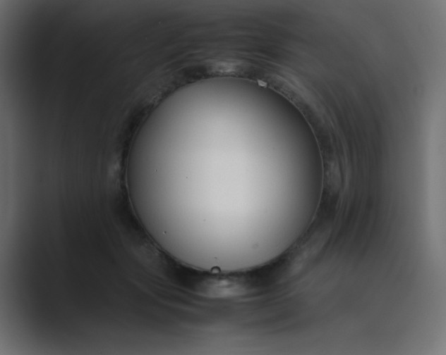 X0000089360557200706291043